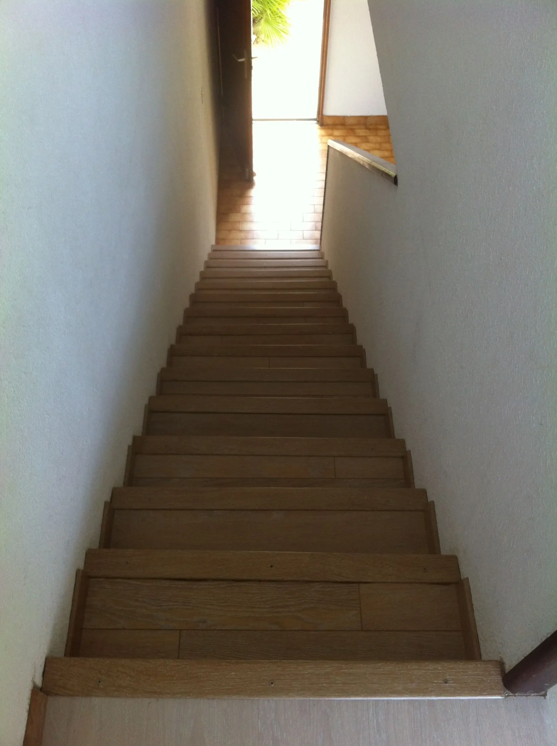 État des lieux escaliers avant travaux 